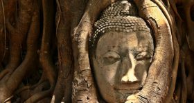 Bouddha Ayutthaya