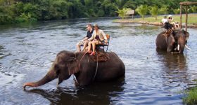 Kanchanaburi trekking en éléphant