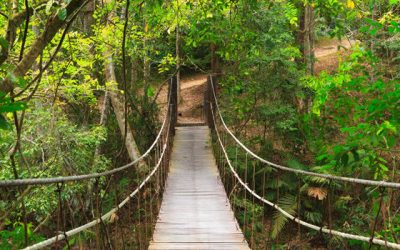 Khao Yai