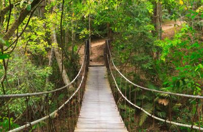 Khao Yai