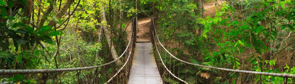 Khao Yai