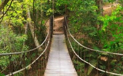 Parc national Khao yai