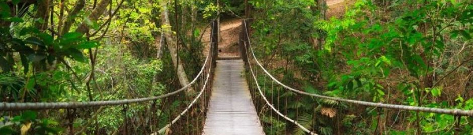 Parc national Khao yai