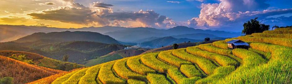 Thaïlande rural