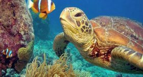 Tour des îles Similan de luxe