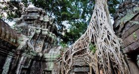 Angkor Wat