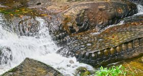 Phnom Kulen